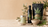 Hemp Products Explained: Seeds, Oils, Flour, Protein and Balms