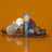 Ode - Mushroom Complex Honey Pearls 90 Pearls